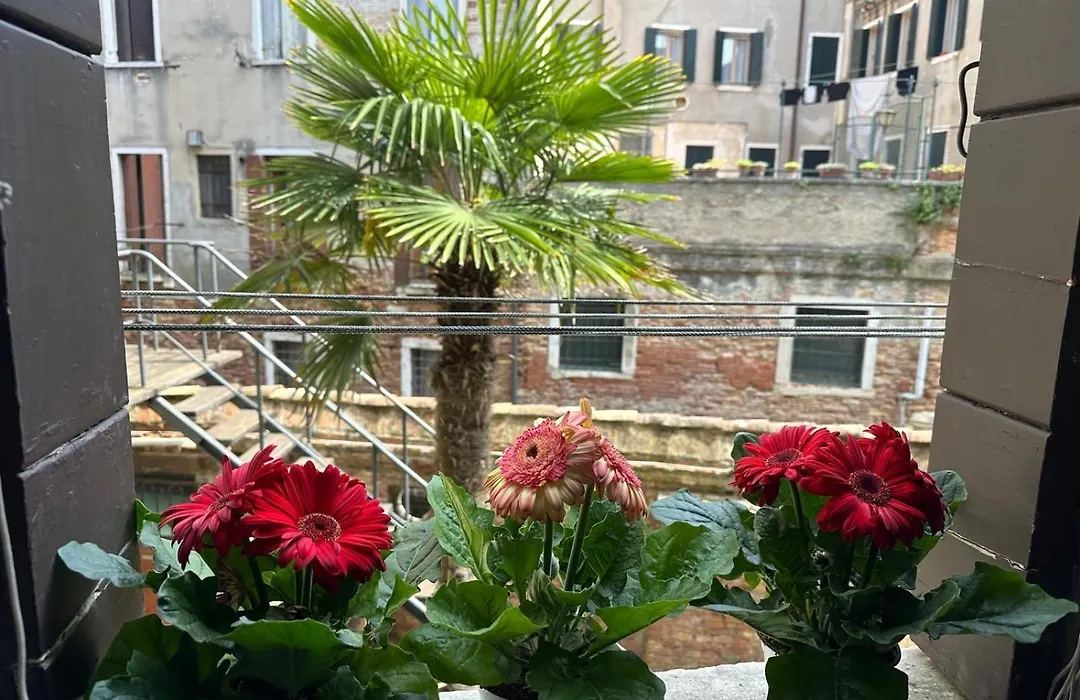 Queen Venice Apartment-1